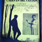 Cabin In The Cotton