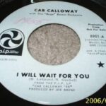 I Will Wait For You, PIP (USA)